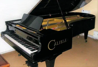 Đàn grand piano (Ảnh: Internet)
