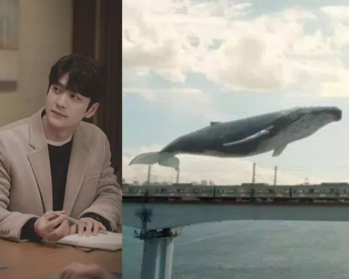 Junho có thể thay thế cá voi để trở thành mối bận tâm duy nhất của luật sư Woo? (Nguồn: Internet)