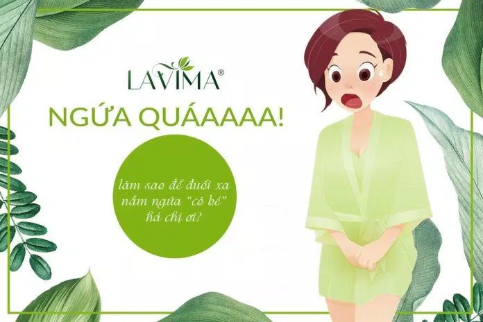 Стойкий зудящий грибок больше не будет беспокоить, когда есть гинекологическое промывание Lavima.
