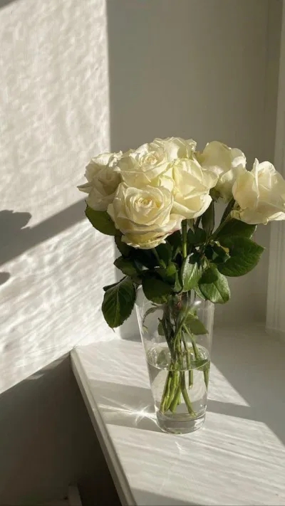 ẻgdferg