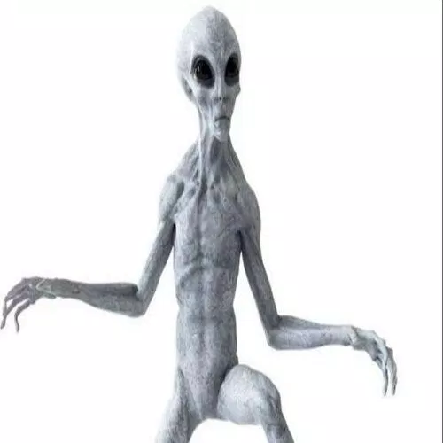 Người ngoài hành tinh với chiếc đầu to, hõm mắt sâu và cánh tay dài (Nguồn: Internet)