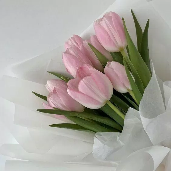 Dành tặng người bạn gái của bạn một món quà đặc biệt với những bông hoa được tô điểm đầy tình yêu. Hãy chọn món quà thật đáng yêu và đầy ý nghĩa cho người đặc biệt của bạn với những bông hoa tinh tế.