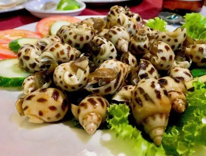 14 quán ăn ngon ở Phan Thiết: Ăn hoài không ngán ăn trưa tại Phan Thiết bánh căn bánh căn lân nguyệt cơm niêu cafe vòng xoay Cơm niêu Panda du lịch Phan Thiết hải sản list quán ngon Love Sushi Lounge Café món ngon MỘT NẮNG Seafood Restaurant Seaside Mũi Né Nhà hàng chợ hải sản Nhà hàng cơm niêu Panda Food Nhà Hàng Cơm Niêu ViVu Food Cơm Niêu Mũi Né Phan Thiết nhà hàng mũi né xưa nhà hàng ngon nhà hàng Phan Thiết Phan Thiết quán ăn ngon ở phan thiết quán ăn ngon phan thiết Quán Bi Bo quán ngon phan thiết răng mực loan Seahorse Bistro thảo như quán The Menu Restaurant