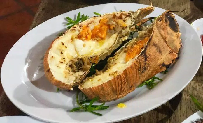 Trình bày đơn giản nhưng vẫn thu hút