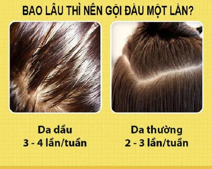 5 lỗi sai khi gội đầu làm tóc khô xơ nhưng ít người để ý tới 5 lỗi sai khi gội đầu bí quyết chăm sóc tóc bí quyết làm đẹp tóc Cách chăm sóc tóc chăm sóc tóc chăm sóc tóc đúng cách chăm sóc tóc hiệu quả dưỡng tóc Gội đầu đúng cách khắc phục làm đẹp tóc lỗi sai khi gội đầu mẹo dưỡng tóc đúng cách mẹo làm đẹp tóc tips chăm sóc tóc tóc đẹp