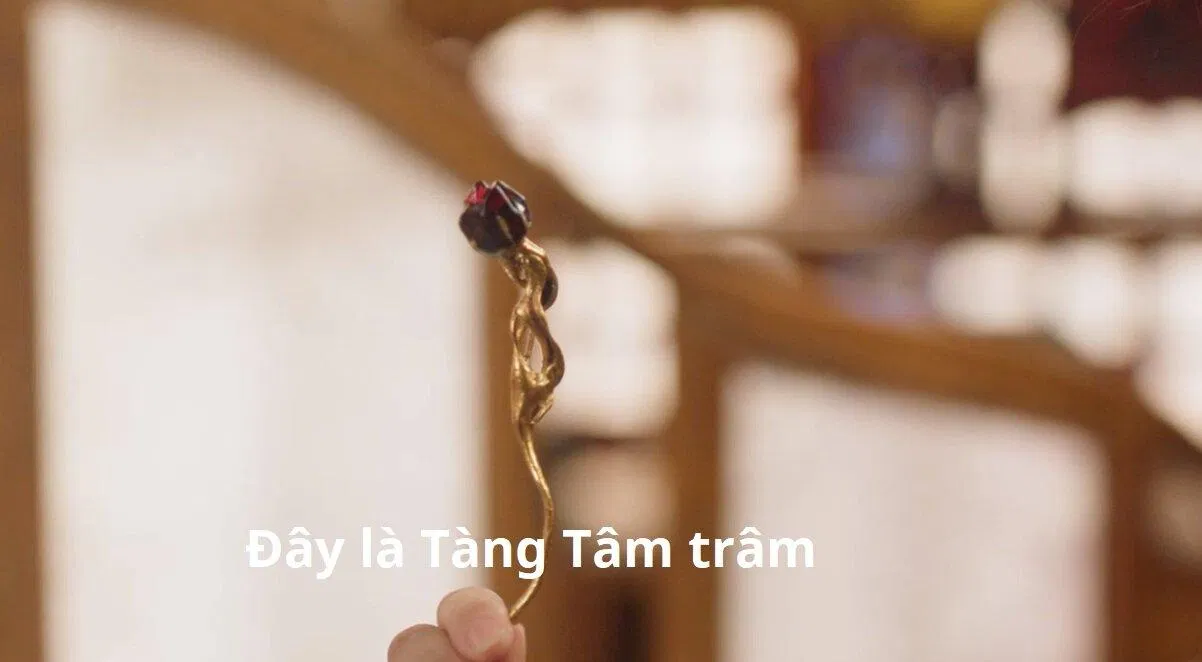 Tàng Tâm trâm của tổ nữ Nguyệt tộc.