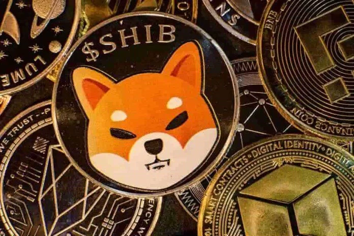 Đồng tiền được tạo ra từ hình ảnh giống chó Shiba của Nhật Bản (Ảnh: Internet).