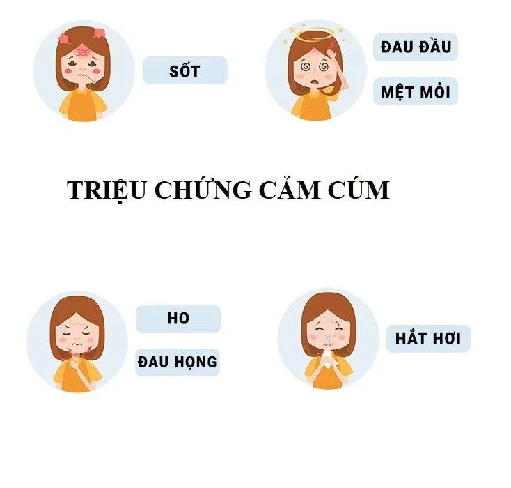 Các triệu chứng của cảm cúm (Nguồn: Internet). Các triệu chứng của cảm cúm (Nguồn: Internet).