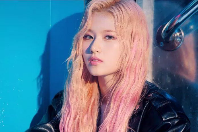 Mái tóc hồng màn tính biểu tượng của Sana (Ảnh: Internet)
