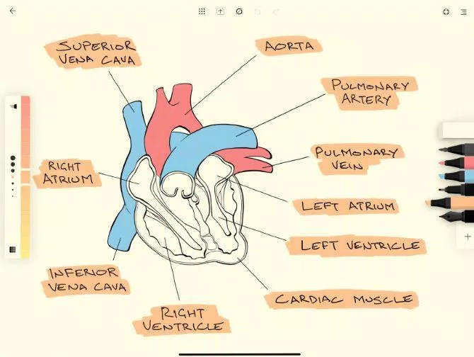 Ứng dụng Flow (Moleskine) trên iPad (Ảnh: Internet). Ứng dụng Flow (Moleskine) trên iPad (Ảnh: Internet).