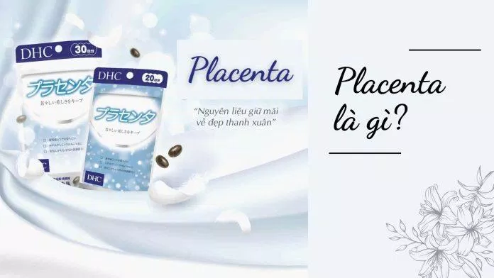 Placenta là một dạng thực phẩm chức năng làm từ nhau thai heo (Nguồn: Internet)