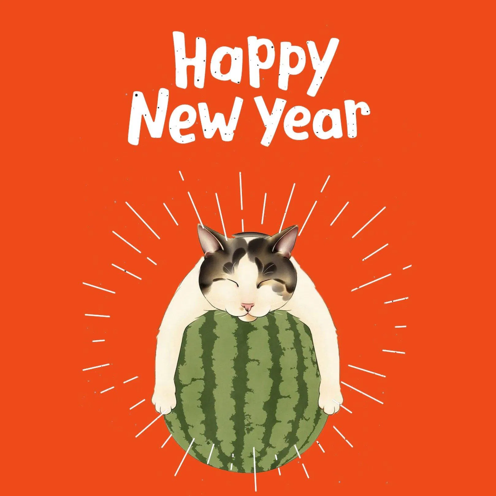 Avatar Tết 2023 hình mèo may mắn. (Ảnh: Internet)