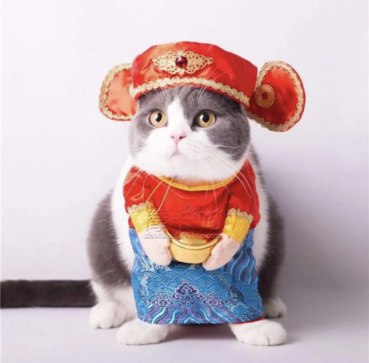 Avatart Tết 2023 Quý Mão hình mèo đáng yêu hài hước. (Ảnh: Internet) Avatart Tết 2023 Quý Mão hình mèo đáng yêu hài hước. (Ảnh: Internet)