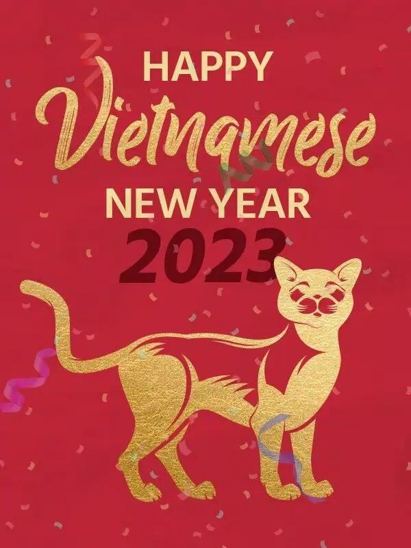 Thiệp chúc mừng năm mới 2023 Quý Mão hình mèo đáng yêu hài hước. (Ảnh: Internet)
