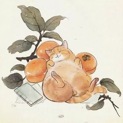 333+ avatar Tết 2023 Quý Mão đẹp, đa dạng sẽ mang lại may mắn cho bạn ảnh nền avatar avatar dễ thương avatar đẹp avatar đôi avatar Tết avatar Tết 2023 avatar Tết 2023 quý mão cặp đôi dễ thương đáng yêu hài hước tết 2023 Tết 2023 Quý Mão