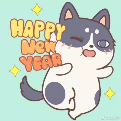 Avatart Tết 2023 Quý Mão hình mèo đáng yêu hài hước. (Ảnh: Internet)