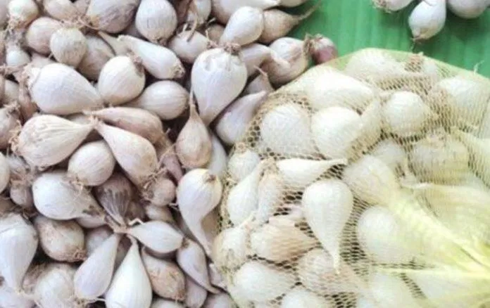Đặc sản tỏi cô đơn Phan Rang. (Ảnh: Internet)