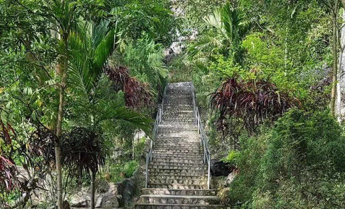 Đường lên động. (Ảnh: Internet)