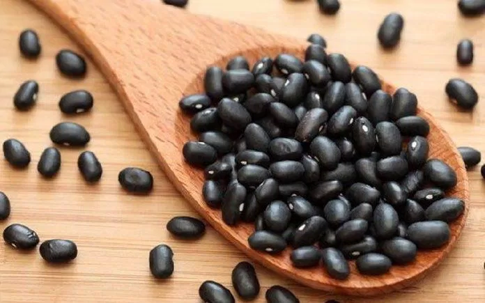Giá trị dinh dưỡng của đậu đen