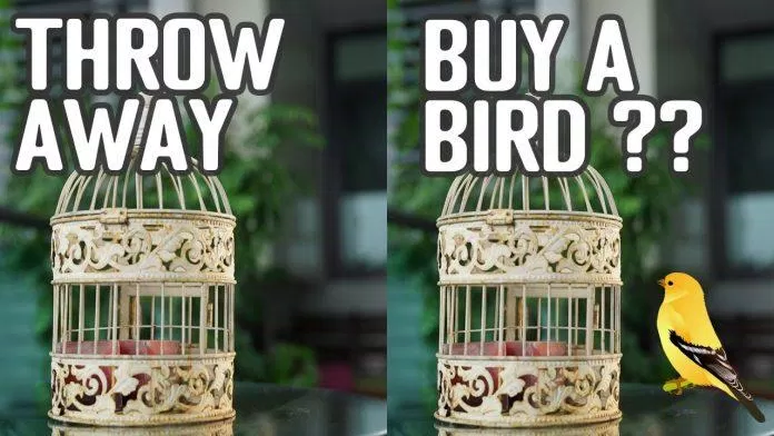 Bạn sẽ bỏ chiếc lồng hay mua thêm con chim? (Ảnh: Internet) Bạn sẽ bỏ chiếc lồng hay mua thêm con chim? (Ảnh: Internet)