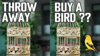 Bạn sẽ bỏ chiếc lồng hay mua thêm con chim? (Ảnh: Internet) Bạn sẽ bỏ chiếc lồng hay mua thêm con chim? (Ảnh: Internet)