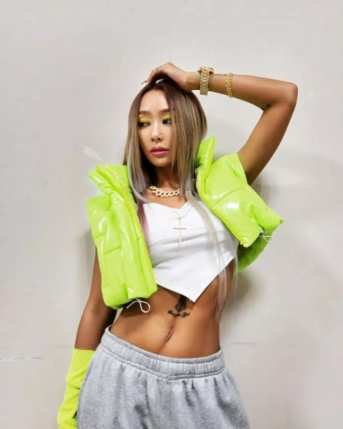 Hyolyn- Nữ ca sĩ đi đầu trong phong trào Geongangmi (Ảnh: Internet)