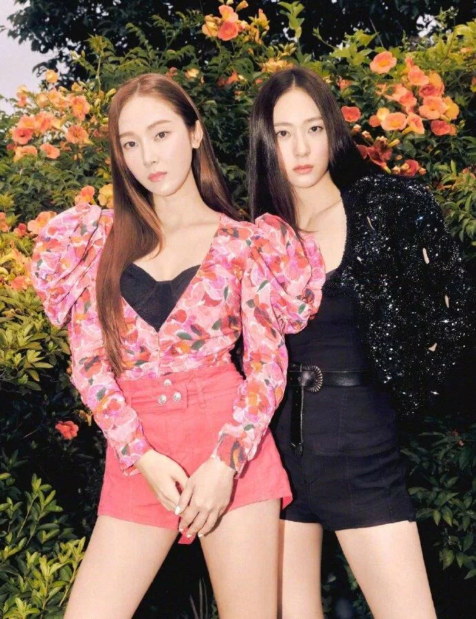 Jessica và Krystal được xem là cặp chị em quyền lực nhất nhì showbiz Hàn ( ảnh: internet).