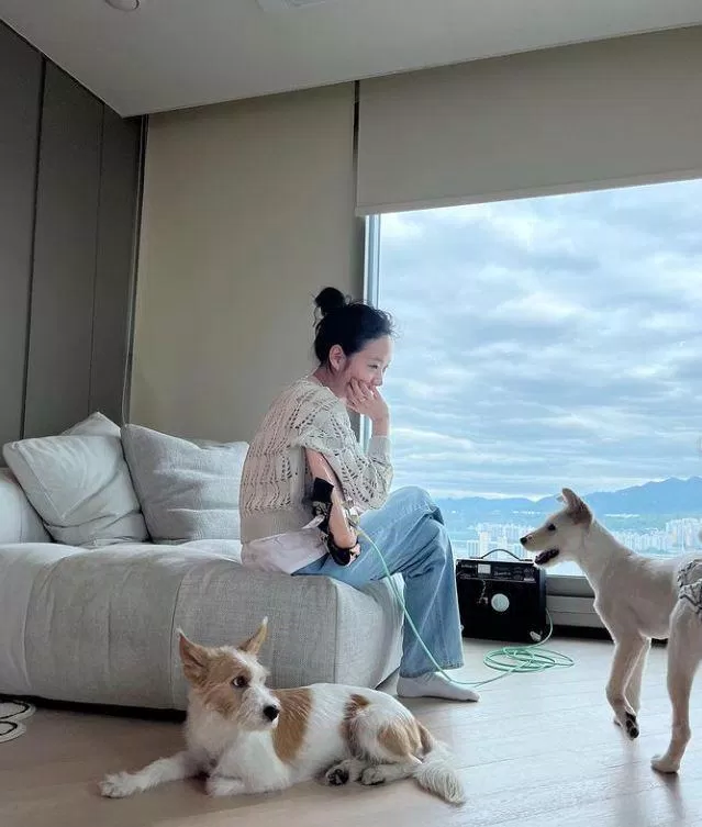 Từ những hình ảnh được chia sẻ, nhiều dân mạng đã đoán vị trí của căn hộ (ảnh: internet)