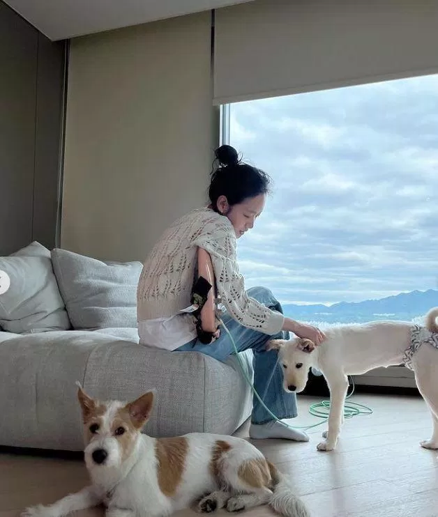 |@ggonekim/Instagram