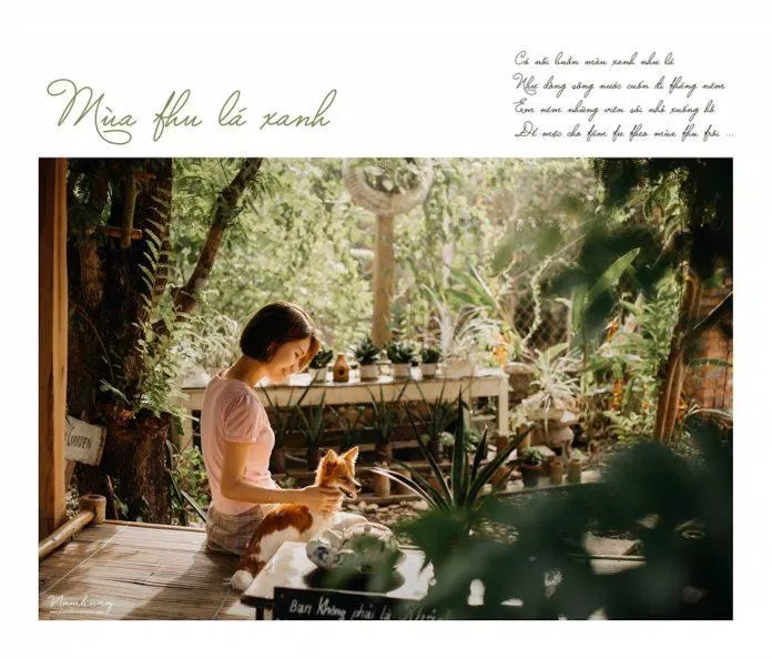 Lavin Home Huế (Nguồn: Fb Lavin Homestay) Lavin Home Huế (Nguồn: Fb Lavin Homestay)