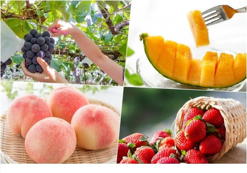 Những điều độc đáo về Nhật Bản (Ảnh: Internet)