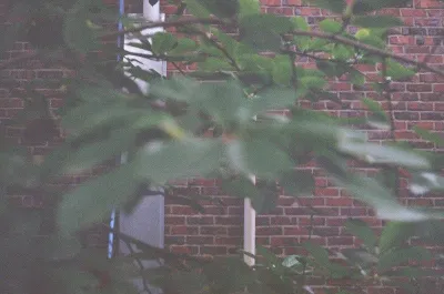 Ảnh do V chụp (Ảnh: Internet)