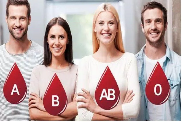 Người ta tin rằng có mối liên hệ giữa nhóm máu ABO của con người và các đặc điểm tính cách. (Ảnh: Internet)