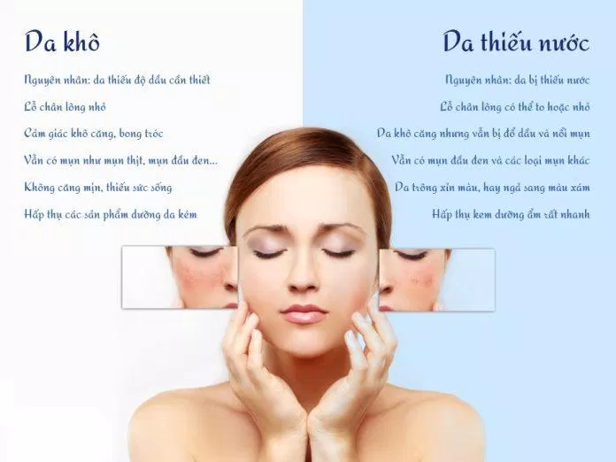 Top 10 kem dưỡng ẩm cho da khô: Cứu tinh cho làn da mùa hanh khô - Kiến thức mới 2024 4 Cần phân biệt được da khô và da thiếu nước(Nguồn: Internet)