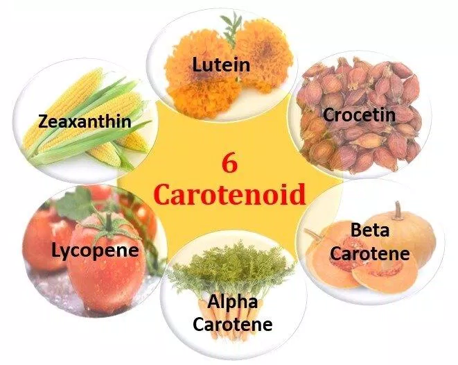 Các loại carotenoid (Ảnh: Internet)