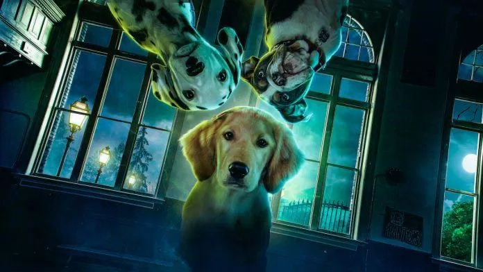 3 hồn ma chó đáng yêu trong phim Phantom Pups