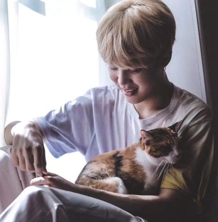 Jimin đáng yêu, ngọt ngào tựa một chú mèo tam thể (ảnh: twitter)