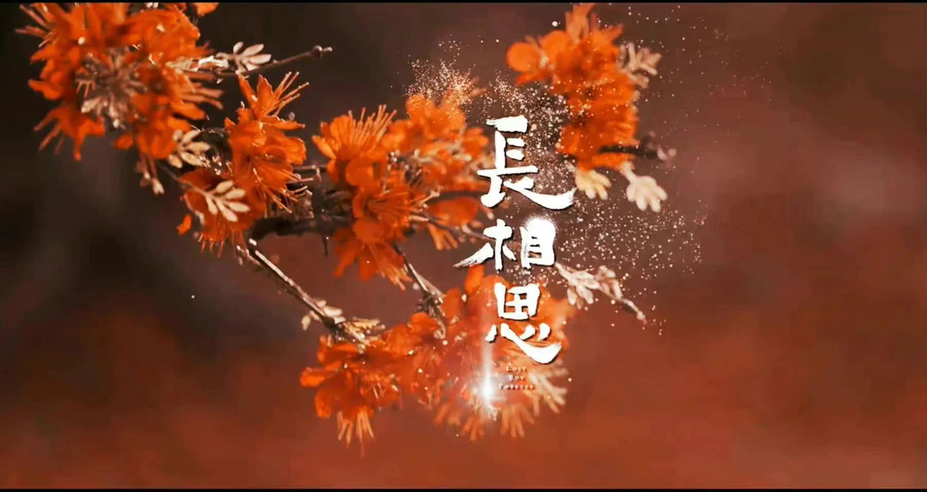 poster Trường Tương Tư