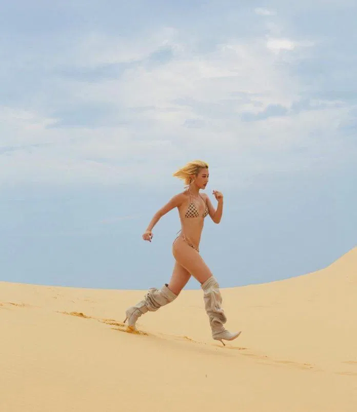 Bộ ảnh từng gây tranh cãi về phong cách của Quỳnh Anh Shyn năm 2019. (Nguồn: Internet)