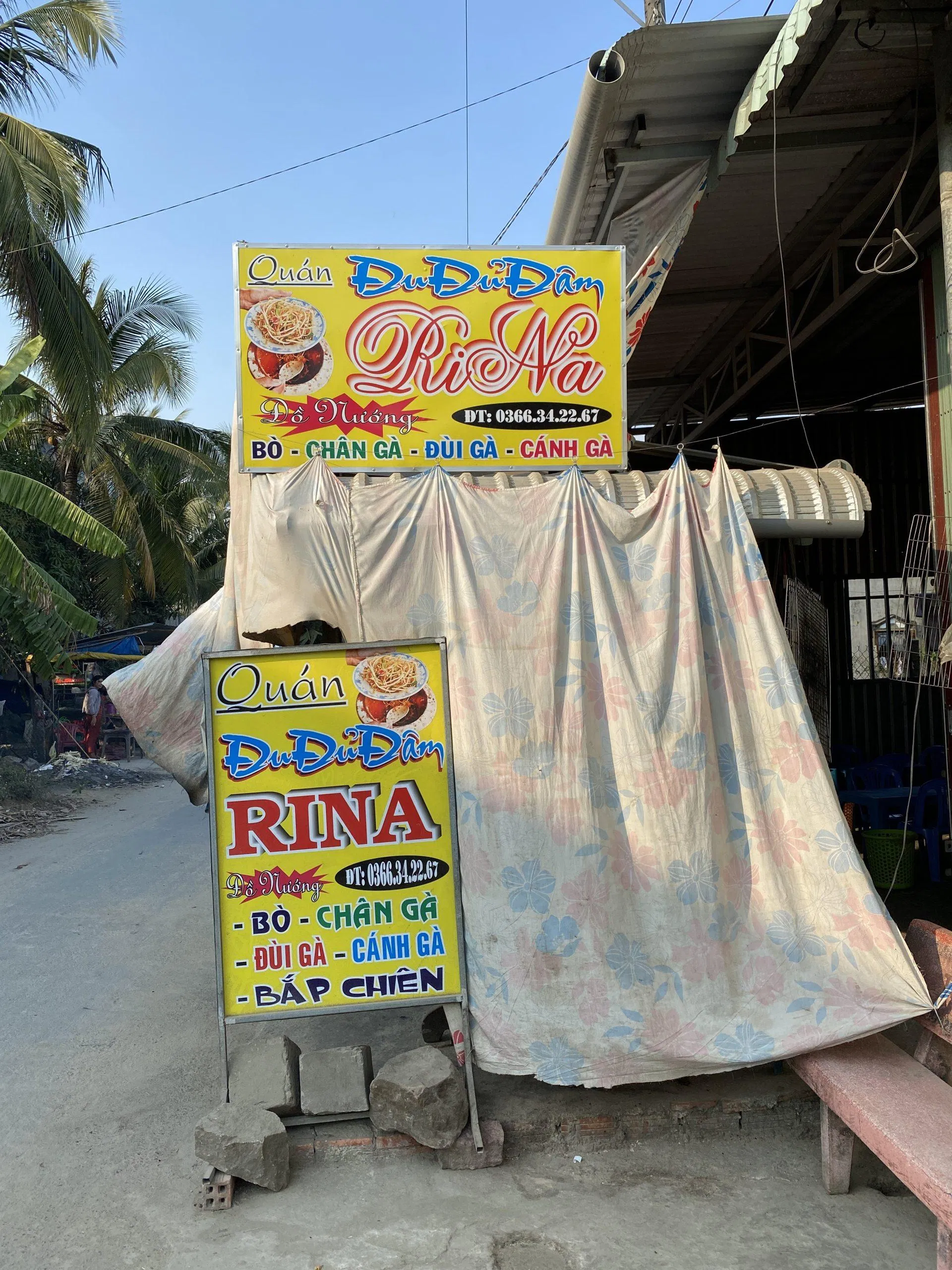 Đu đủ đâm RINA. (Nguồn ảnh: Internet)