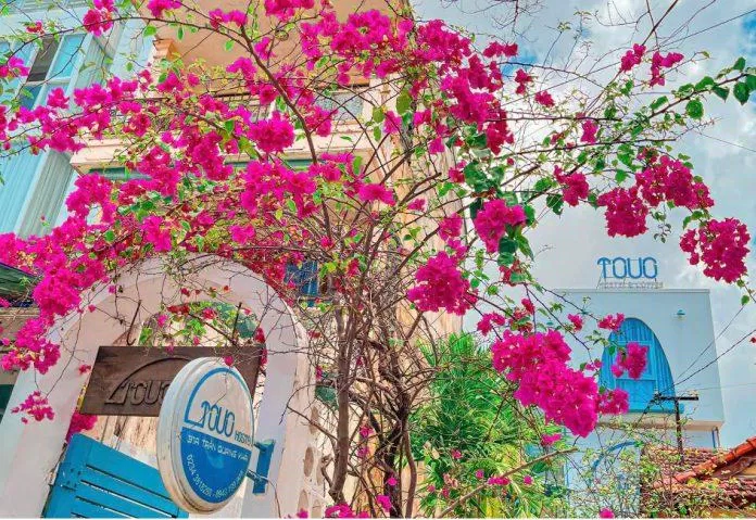 Tò Vò hostel (Nguồn: Fb Tò Vò) Tò Vò hostel (Nguồn: Fb Tò Vò)