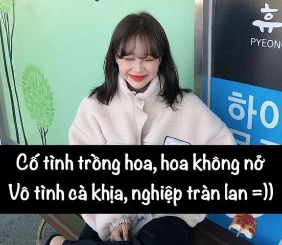 Cap đăng story hài hước, không vui không lấy tiền (Ảnh: Internet)