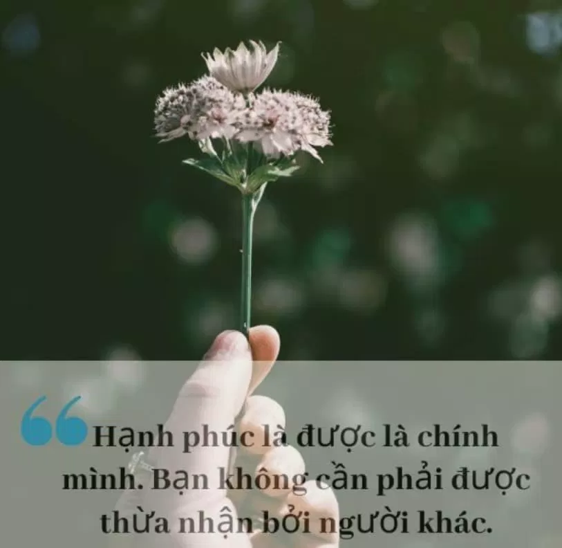 Caption để tiểu sử về bản thân cực chất, cực ấn tượng (Ảnh: Internet)