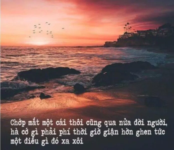 Caption để tiểu sử hay về cuộc sống giúp bạn nhận ra được nhiều điều (Ảnh: Internet)