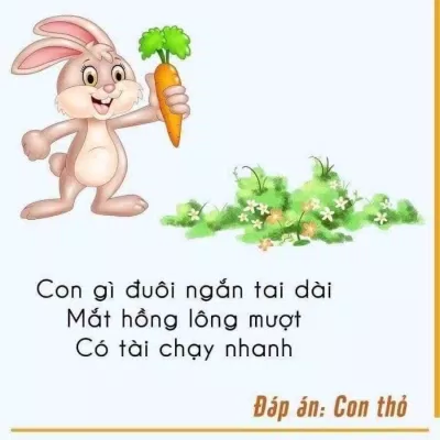 555+ câu đố vui, câu đố mẹo hack não chỉ IQ trên 120 mới trả lời được câu đố Câu đố cho trẻ em Câu đố dân gian câu đố hack não Câu đố mẹo Câu đố về con vật câu đố vui Câu đố vui trẻ em đố vui hình ảnh mẹo hay trẻ em