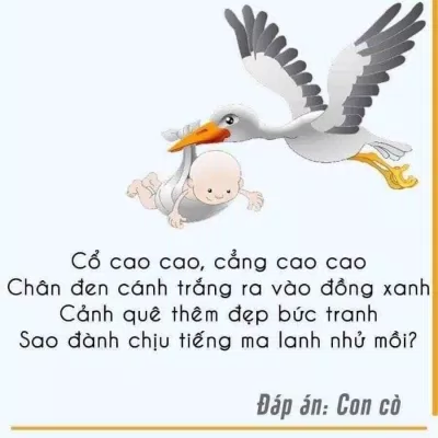 555+ câu đố vui, câu đố mẹo hack não chỉ IQ trên 120 mới trả lời được câu đố Câu đố cho trẻ em Câu đố dân gian câu đố hack não Câu đố mẹo Câu đố về con vật câu đố vui Câu đố vui trẻ em đố vui hình ảnh mẹo hay trẻ em