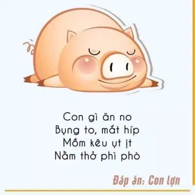 Câu đố hay cho trẻ em mầm non bằng hình ảnh. (Ảnh: Internet) Câu đố hay cho trẻ em mầm non bằng hình ảnh. (Ảnh: Internet)