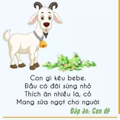 Câu đố hay cho trẻ em mầm non bằng hình ảnh. (Ảnh: Internet) Câu đố hay cho trẻ em mầm non bằng hình ảnh. (Ảnh: Internet)