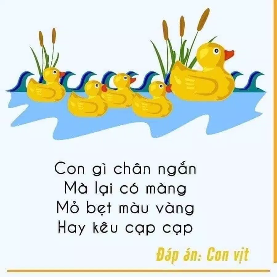 Câu đố hay cho trẻ em mầm non bằng hình ảnh. (Ảnh: Internet)