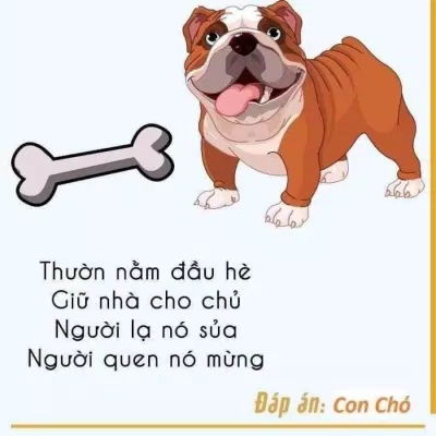 555+ câu đố vui, câu đố mẹo hack não chỉ IQ trên 120 mới trả lời được câu đố Câu đố cho trẻ em Câu đố dân gian câu đố hack não Câu đố mẹo Câu đố về con vật câu đố vui Câu đố vui trẻ em đố vui hình ảnh mẹo hay trẻ em